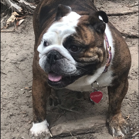 5 Star Seller - Picture 9 of 10